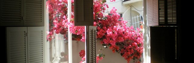 Window with purple flowers in Long Beach