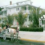 southernmost key west horses